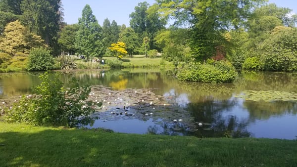 Talking Climate, Creativity and Communications in the Most Biodiverse Place on Earth